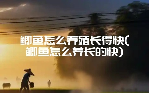鲫鱼怎么养殖长得快(鲫鱼怎么养长的快)-会东网