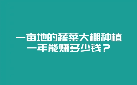 一亩地的蔬菜大棚种植一年能赚多少钱?-会东网