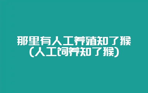 那里有人工养殖知了猴(人工饲养知了猴)-会东网