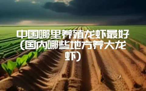 中国哪里养殖龙虾最好(国内哪些地方养大龙虾)-会东网