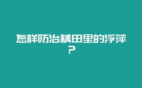 怎样防治藕田里的浮萍?-会东网