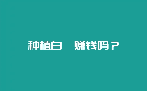 种植白芨赚钱吗？-会东网