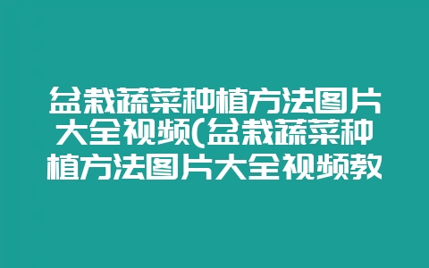 盆栽蔬菜种植方法图片大全视频(盆栽蔬菜种植方法图片大全视频教程)-会东网