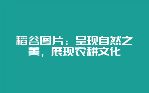 稻谷图片：呈现自然之美，展现农耕文化-会东网