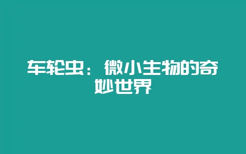 车轮虫:微小生物的奇妙世界-会东网