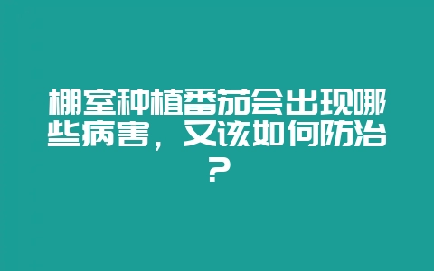 棚室种植番茄会出现哪些病害，又该如何防治？-会东网