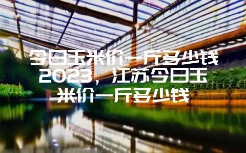 今日玉米价一斤多少钱2023，江苏今日玉米价一斤多少钱-会东网