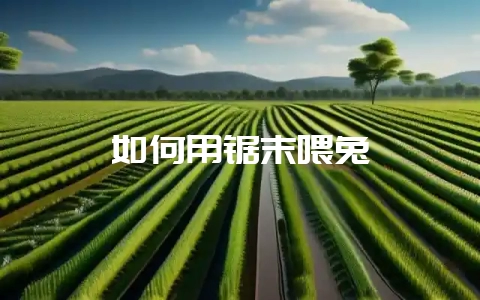 如何用锯末喂兔-会东网