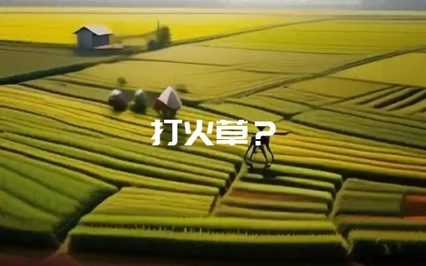 打火草？-会东网