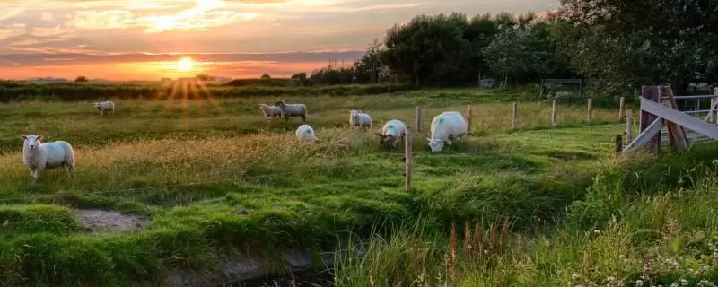 川滇明珠的夜色之美,如梦如幻插图1 川滇明珠的夜色之美,如梦如幻插图1