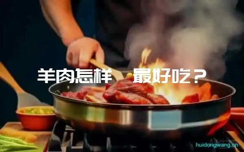 羊肉怎样炖最好吃?插图 羊肉怎样炖最好吃?插图