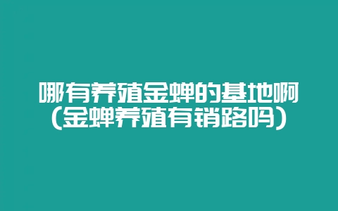 哪有养殖金蝉的基地啊(金蝉养殖有销路吗)-会东网