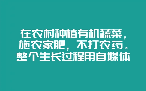 在农村种植有机蔬菜，施农家肥，不打农药。整个生长过程用自媒体记录，前景如何？-会东网