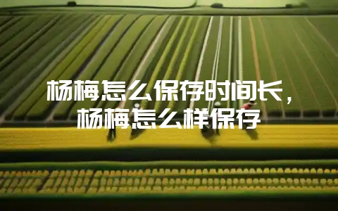 杨梅怎么保存时间长，杨梅怎么样保存-会东网