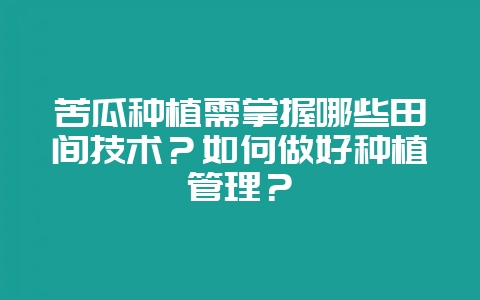 苦瓜种植需掌握哪些田间技术？如何做好种植管理？-会东网