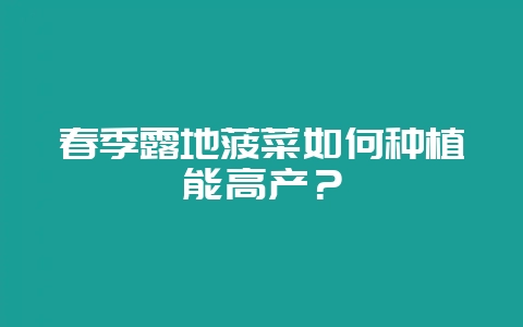 春季露地菠菜如何种植能高产？-会东网