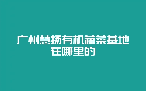 广州慧扬有机蔬菜基地在哪里的-会东网
