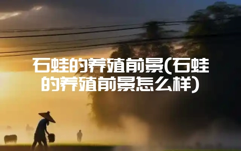 石蛙的养殖前景(石蛙的养殖前景怎么样)-会东网