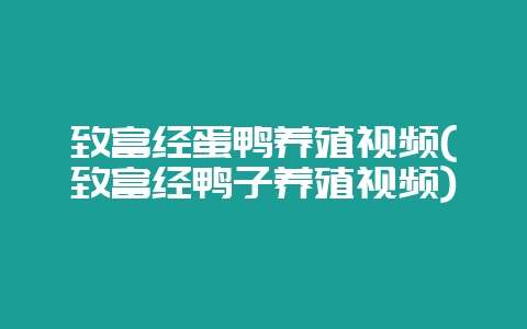 致富经蛋鸭养殖视频(致富经鸭子养殖视频)-会东网
