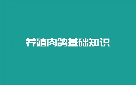 养殖肉鸽基础知识-会东网