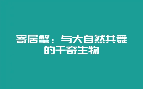 寄居蟹：与大自然共舞的千奇生物-会东网