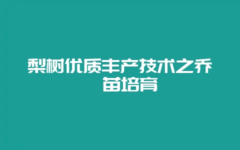 梨树优质丰产技术之乔砧苗培育-会东网