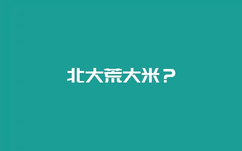北大荒大米?-会东网
