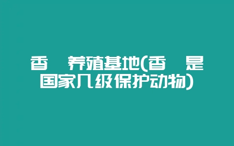 香獐养殖基地(香獐是国家几级保护动物)-会东网