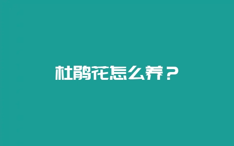 杜鹃花怎么养？-会东网