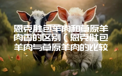 恩克肚包羊肉和草原羊肉香的区别（恩克肚包羊肉与草原羊肉的比较-会东网