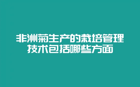非洲菊生产的栽培管理技术包括哪些方面-会东网
