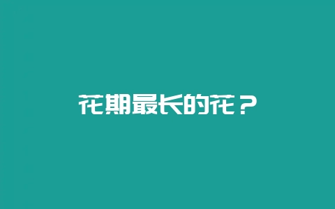 花期最长的花？-会东网