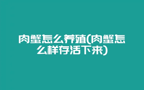 肉蟹怎么养殖(肉蟹怎么样存活下来)-会东网