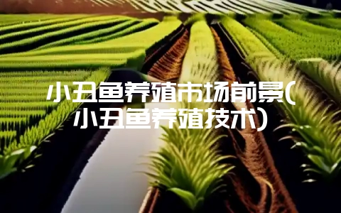 小丑鱼养殖市场前景(小丑鱼养殖技术)-会东网