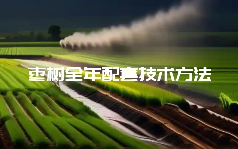 枣树全年配套技术方法-会东网