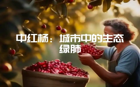 中红杨：城市中的生态绿肺-会东网
