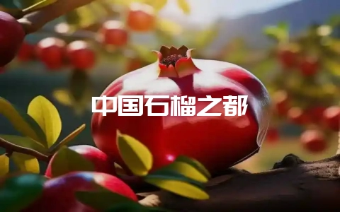 中国石榴之都-会东网