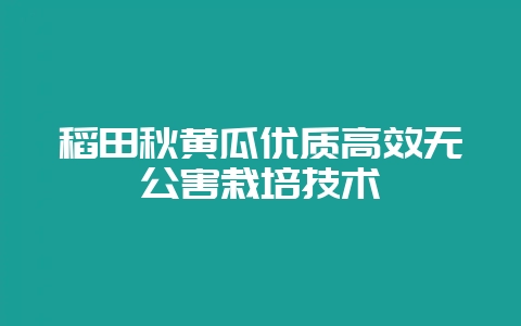 稻田秋黄瓜优质高效无公害栽培技术-会东网