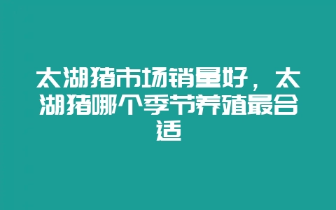 太湖猪市场销量好,太湖猪哪个季节养殖最合适-会东网