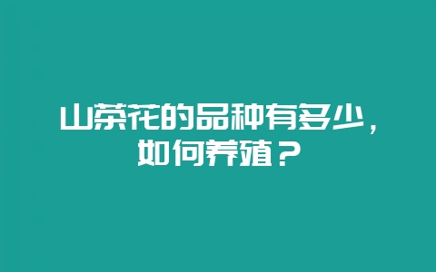 山茶花的品种有多少，如何养殖？-会东网