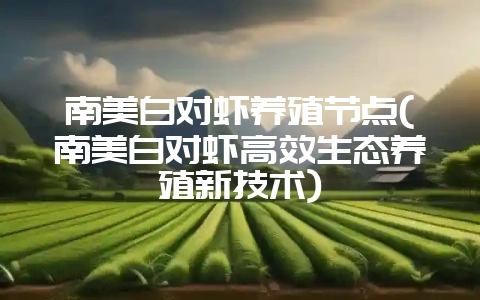 南美白对虾养殖节点(南美白对虾高效生态养殖新技术)-会东网