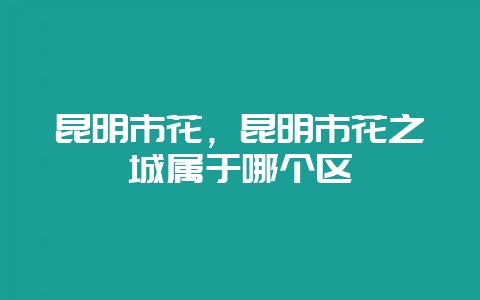 昆明市花，昆明市花之城属于哪个区-会东网