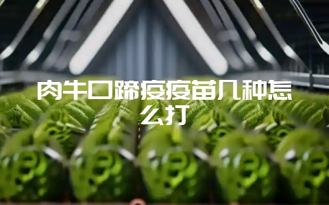 肉牛口蹄疫疫苗几种怎么打-会东网