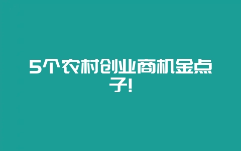 5个农村创业商机金点子!-会东网