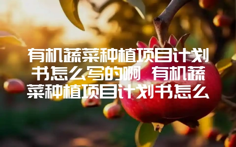 有机蔬菜种植项目计划书怎么写的啊 有机蔬菜种植项目计划书怎么写的啊视频-会东网