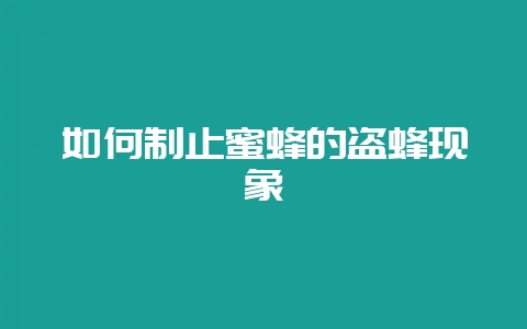 如何制止蜜蜂的盗蜂现象-会东网