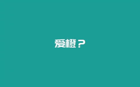 爱橙？-会东网