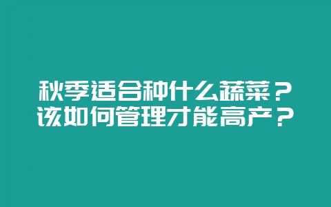 秋季适合种什么蔬菜？该如何管理才能高产？-会东网