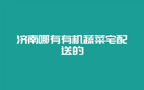 济南哪有有机蔬菜宅配送的-会东网