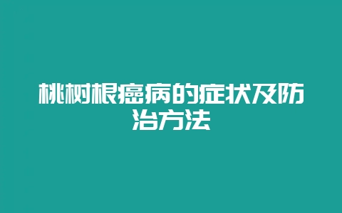 桃树根癌病的症状及防治方法-会东网